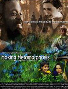 Making Metamorphosis