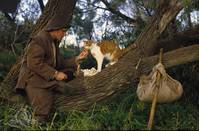 Кадр Кот в сапогах