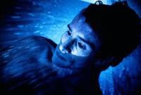 Кадр В зимней спячке