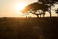 Кадр Путешествие Гектора в поисках счастья