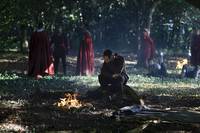 Кадр Мерлин