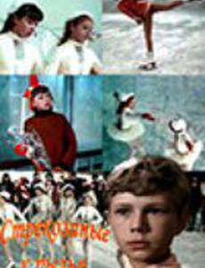 Стрекозиные крылья