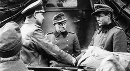 Кадр из фильма "Собаки, хотите жить вечно?" - 2