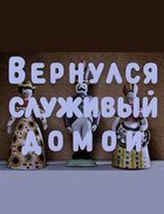Вернулся служивый домой