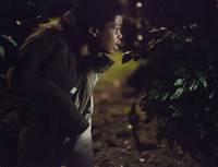 Кадр Прогулка среди могил