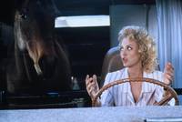 Кадр Удачное наследство