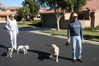 Кадр Auf der sicheren Seite