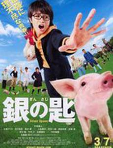 Серебряная ложка