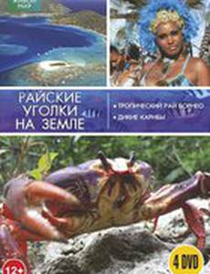 BBC: Тропический рай Борнео