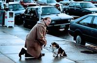 Кадр Турист поневоле