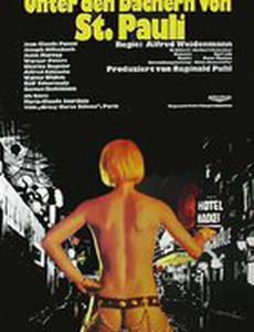 Unter den Dächern von St. Pauli