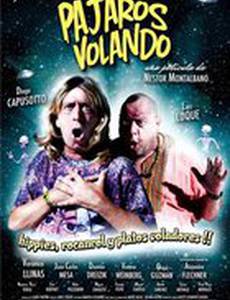 Птицы летают