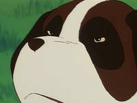 Кадр Хэйди – девочка Альп