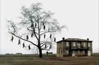 Кадр Трилогия: Плачущий луг