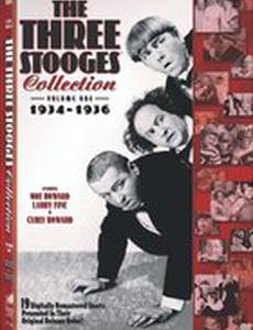 Симфония ударов