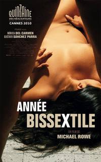 Постер Високосный год