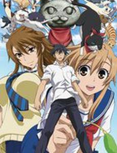 Кошачьи прихоти!