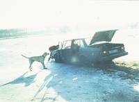 Кадр Любовь, деньги, любовь