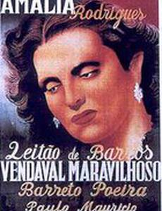 Vendaval Maravilhoso