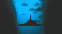 Кадр из фильма "Глубина" - 2