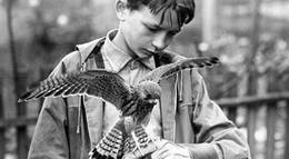 Кадр из фильма "Кес" - 2