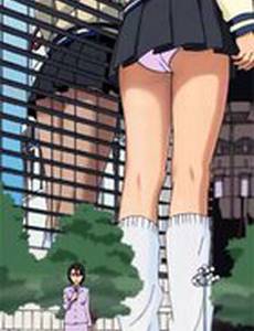 Разноцветье