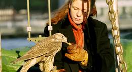 Кадр из фильма "Соколы" - 2