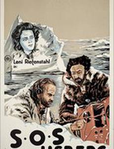 S.O.S. Айсберг