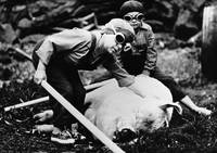 Кадр И карлики начинают с малого