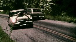 Кадр из фильма "The Young Animals" - 1