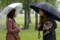 Кадр Жеребец