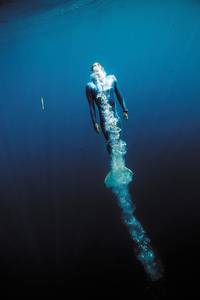 Кадр Attention, a Life in Extremes