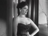 Кадр Собачья жизнь