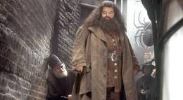 Кадр из фильма "Гарри Поттер и Тайная комната" - 1