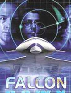 Призрачная цель