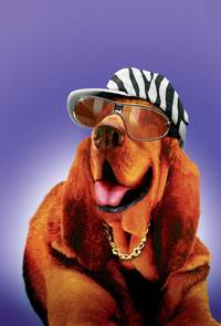 Постер Бешеные скачки