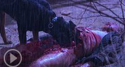 Трейлер (русский) 