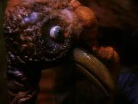 Кадр Бибигон