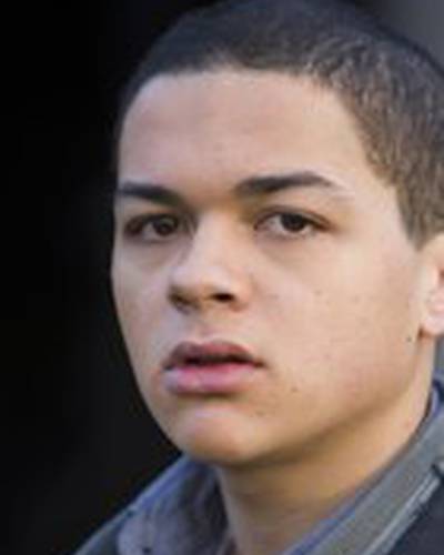 Рис Ной фото