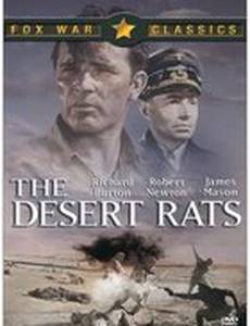 Песчаные крысы