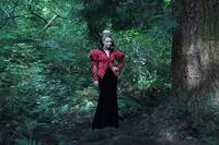 Кадр Однажды в стране чудес