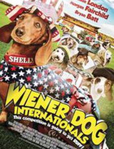 Wiener Dog Internationals