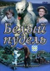 Белый пудель