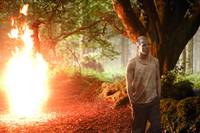 Кадр Дикость