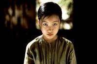 Кадр Аромат зеленой папайи