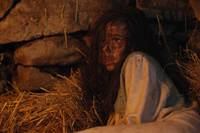 Кадр Лес теней