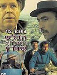 Отважный детектив Шварц