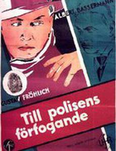 Предварительное следствие