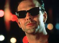 Кадр Дикая орхидея