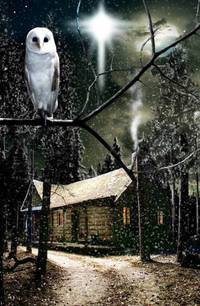 Постер Рождественское чудо Джонатана Туми